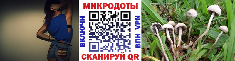 Псилоцибиновые грибы Cubensis  Гаджиево 